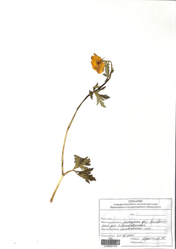 VOR 0001033