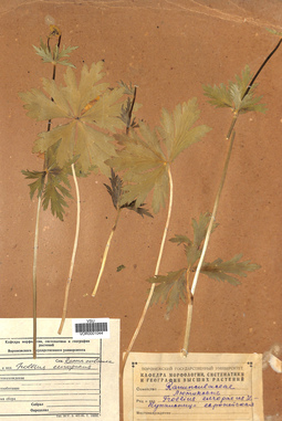 VOR 0001044