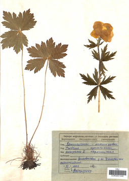 VOR 0001048