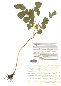 VOR 002259