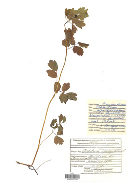 VOR 0002248