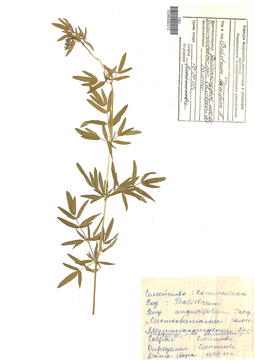 VOR 0002272