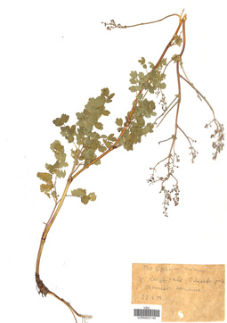 VOR 0002140
