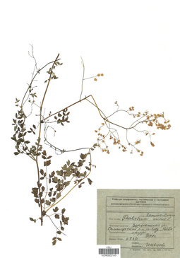 VOR 0002143