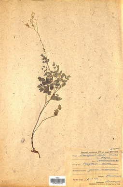 VOR 0002152