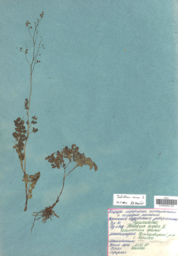 VOR 0002153