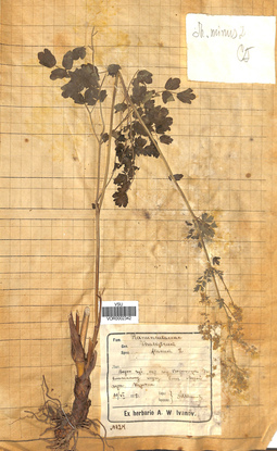 VOR 0002342