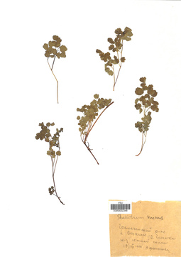 VOR 0002348