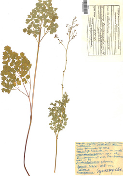 VOR 0002354