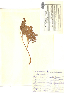 VOR 0002356