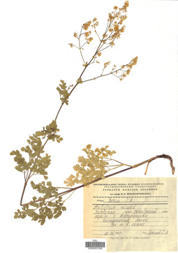 VOR 0002358
