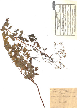 VOR 0002165