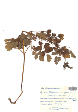 VOR 0002168