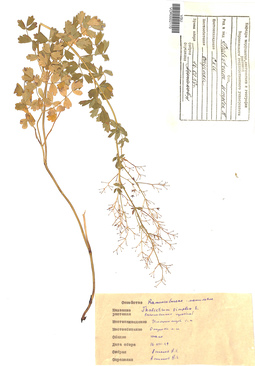 VOR 0002170