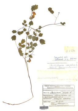 VOR 0002171