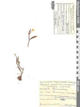 VOR 0001988