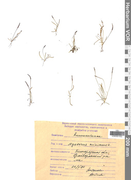 VOR 0001932