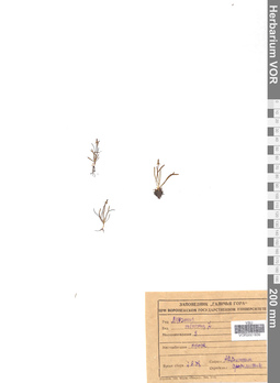 VOR 0001939