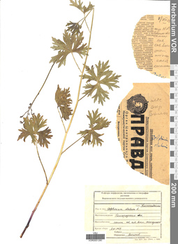VOR 0001280