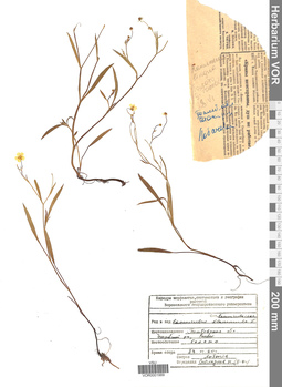 VOR 0001989