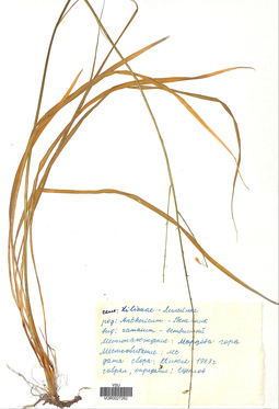 VOR 0027262