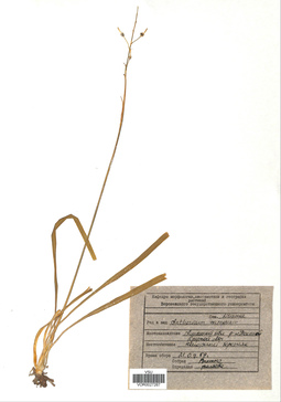 VOR 0027267