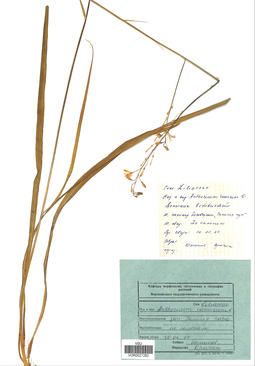 VOR 0027282