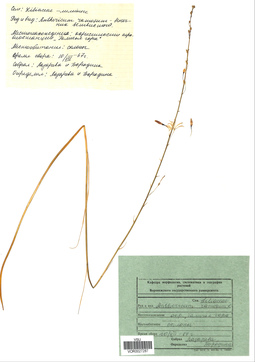 VOR 0027287