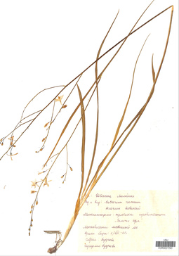 VOR 0027293