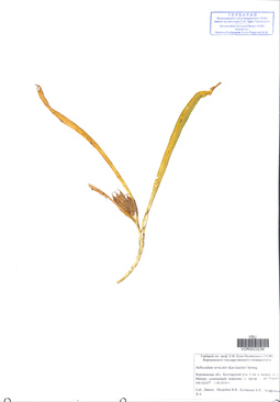 VOR 0023236