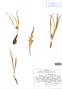 VOR 0026789