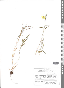 VOR 0001873
