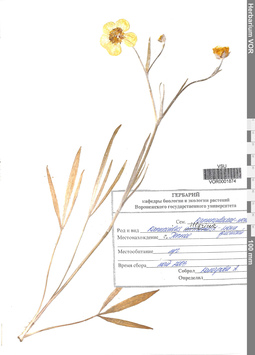 VOR 0001874