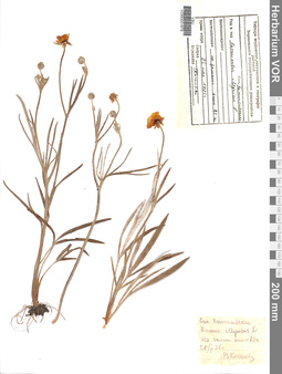 VOR 0001879