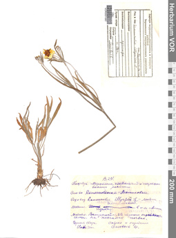 VOR 0001882