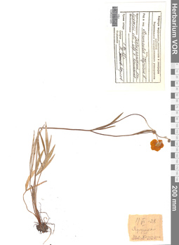 VOR 0001885