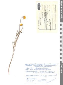 VOR 0001970