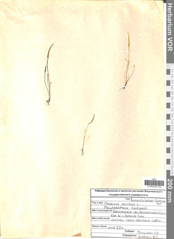 VOR 0008760