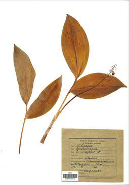 VOR 0026012