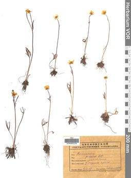 VOR 0002235