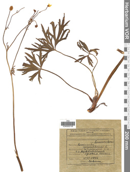 VOR 0002105