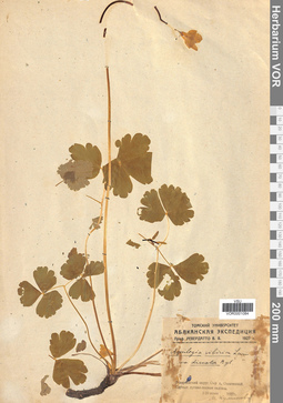 VOR 0001084