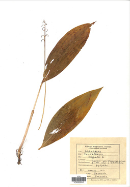 VOR 0026045
