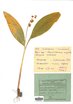 VOR 0026054