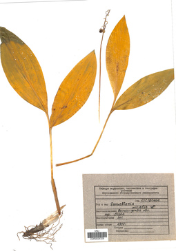 VOR 0026328