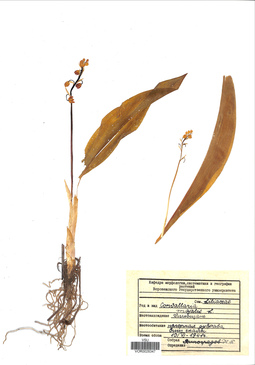 VOR 0026347