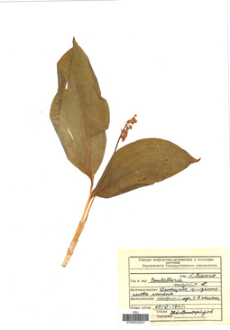 VOR 0026357