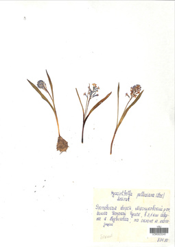 VOR 0023245