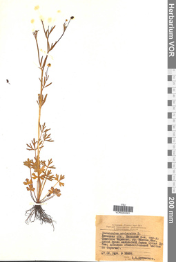 VOR 0002301