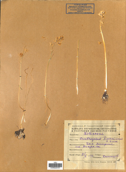 VOR 0025701